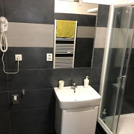 Apartmans In The Center With Privat Parking Brno
