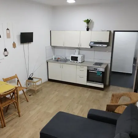 Apartment Apartmans In The Center With Privat Parking *