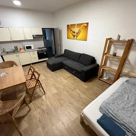 Apartmans In The Center With Privat Parking Apartment Brno